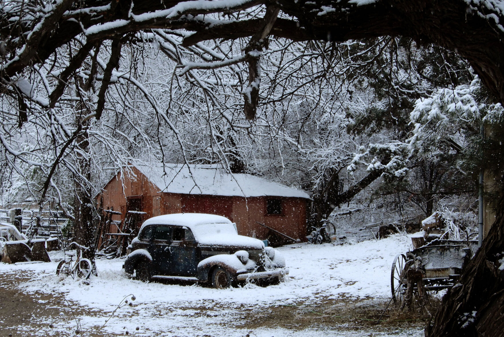 Snow, Santa Cruz County, 2023